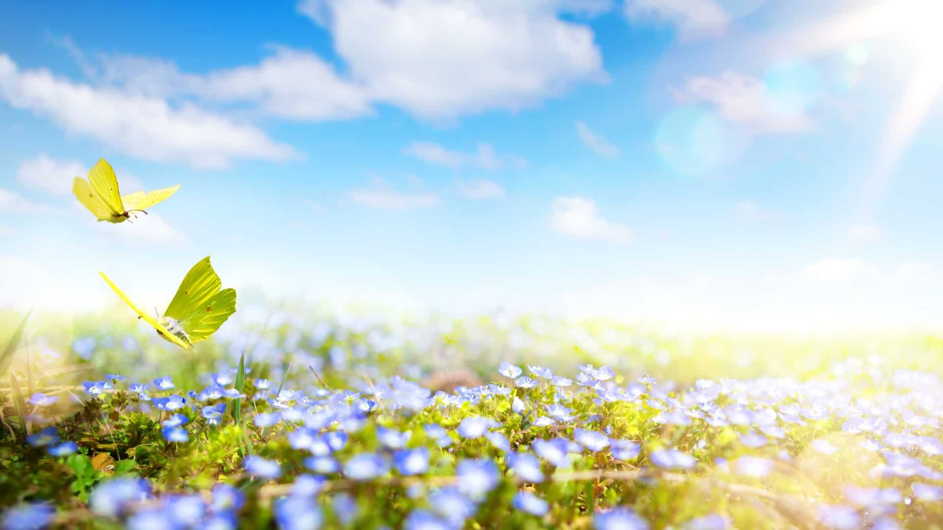 Integrated Therapy Resources LLC - TMS Clinic in Missouri Valley, IA